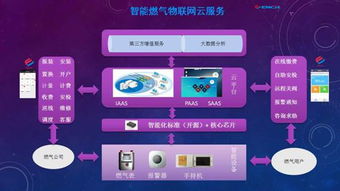 黑龍江省國家密碼管理局 筑牢網(wǎng)絡(luò)安全防線，引領(lǐng)信息安全軟件開發(fā)新篇章